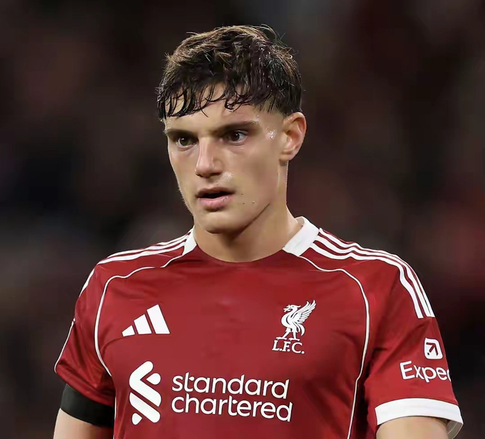 开云官网-利物浦豪赌青春遭重创，错失良将恐留后患|雅凯|后防|格伊|莱奥尼|维吉尔·范迪克_新浪体育_新浪新闻